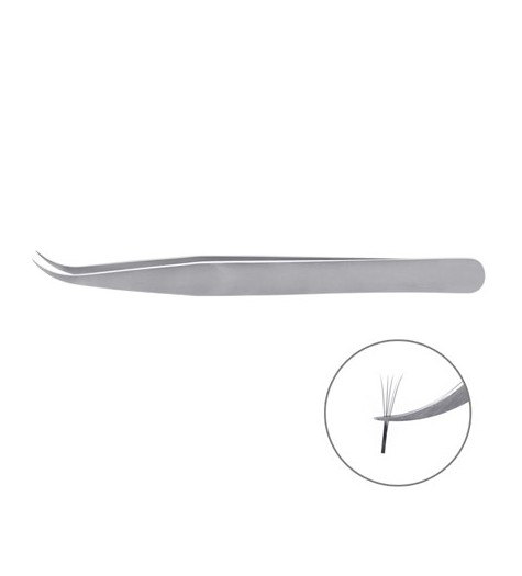 Russian Volumen Pinzette ( RV-curve)