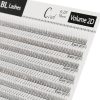 2d-volumen-Wimpern-1 Cils volume 2D – bouquets préfabriqués 2D 0.07 pour un look fluffy