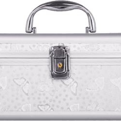 White butterfly-patterned beauty case with silver metal trim, a curved handle, and a central locking clasp.