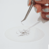 Pad in silicone per ciglia sfuse – 52 × 65 mm