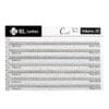 Volume 2D-Right(Case) BL Lashes Volume 2D eyelash extensions in C Curl, 0.07 mm thickness and 10 mm length, arranged in professional lash strips.
