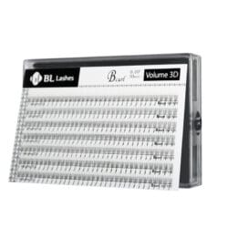 Volume 3D-Right(Case) BL Lashes Volume 3D pre-made eyelash extensions in B curl, 0.07 mm thickness and 10 mm length, arranged in rows inside a clear lash case.