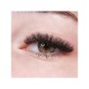 glam-5d-lashes-1-3 Glam 5D Lashes 0.07 courbure C – cils volume pré-éventés
